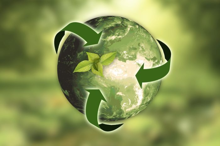 sustainable swag
